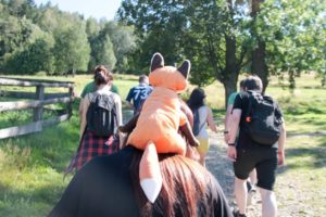 Picodi Trip to Szczyrk - 2017